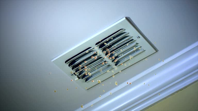 Best Air Duct Cleaning Near Me  in Warren, OR